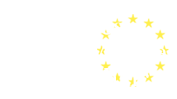 Università di Pisa Jean Monnet Chair